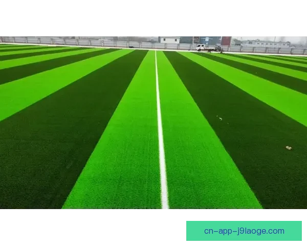 2026世界杯官方推出创新技术全面保护比赛场地草坪安全