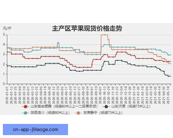 德甲本轮积分榜剧变多队争冠形势激烈精彩走势引关注